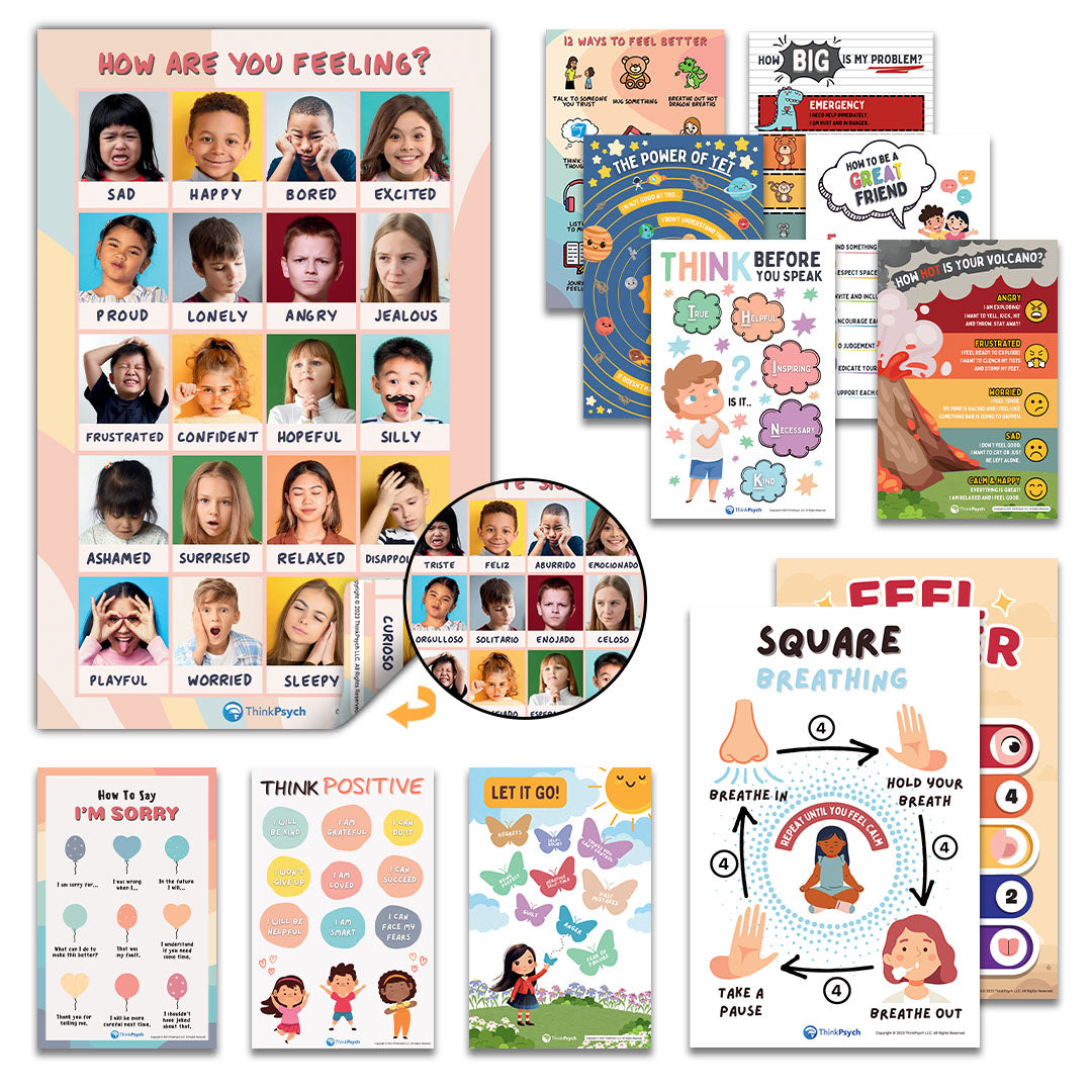 Feelings & Coping Skills Posters (Bilingual)