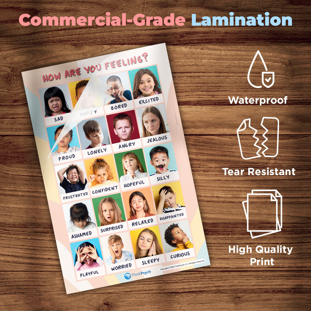 Feelings & Coping Skills Posters (Bilingual)