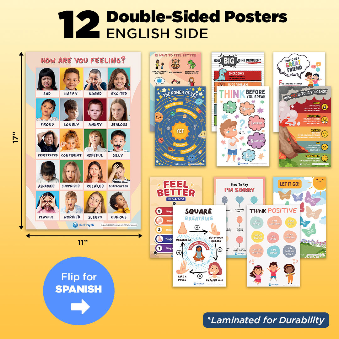 Feelings & Coping Skills Posters (Bilingual)