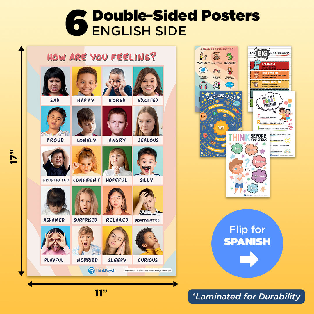 Feelings & Coping Skills Posters (Bilingual)