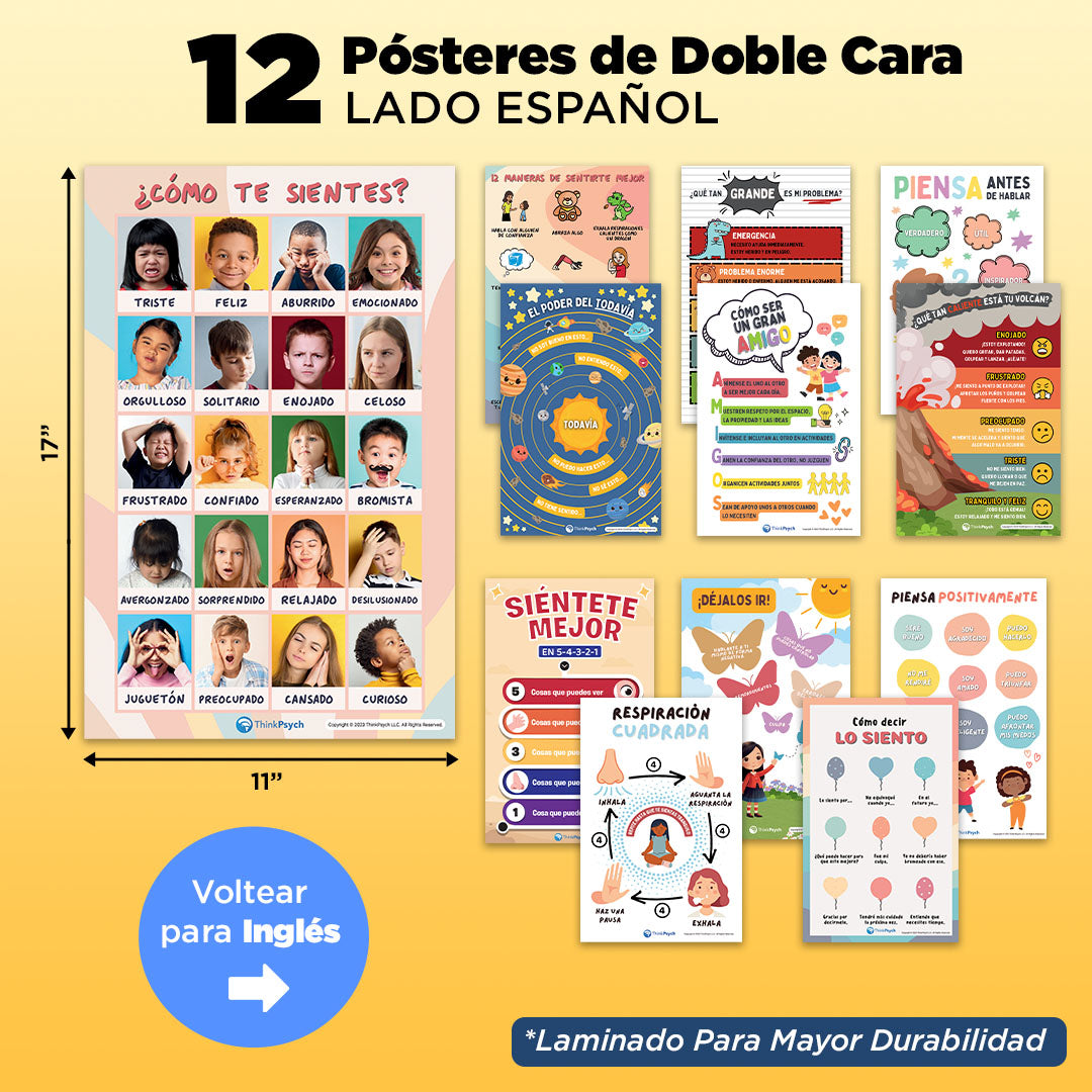 Feelings & Coping Skills Posters (Bilingual)