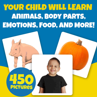 Picture Play Flash Cards Bundle